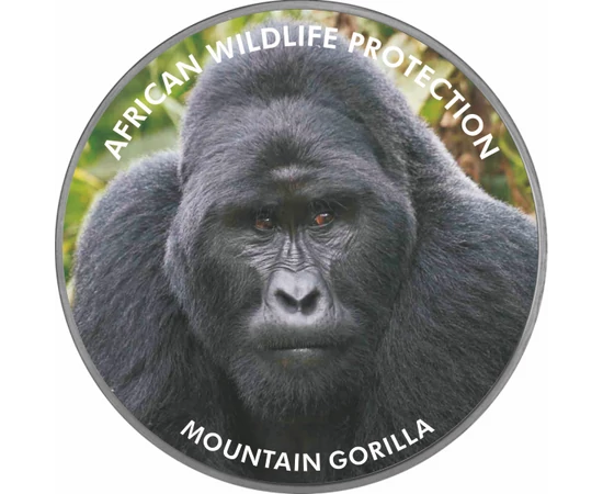 // 2000 şilingi, pictat, placat cu argint, Uganda, 2006 // - Pe această monedă pictată apare gorila de munte, animalul din Africa ameninţat cu dispariţie. Inscripţia monedei „Protecţia faunei africane” ne atrage atenţia asupra acestei specii pe cale de di