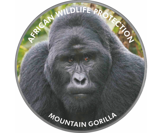 // 2000 şilingi, pictat, placat cu argint, Uganda, 2006 // - Pe această monedă pictată apare gorila de munte, animalul din Africa ameninţat cu dispariţie. Inscripţia monedei „Protecţia faunei africane” ne atrage atenţia asupra acestei specii pe cale de di